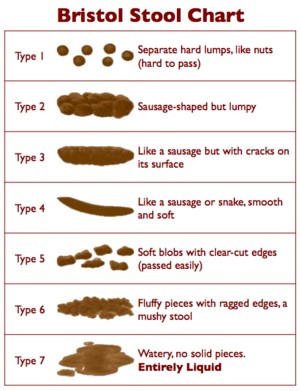 Stool Chart aka Dog Poop Chart | monicasegal.com